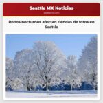 Robos nocturnos afectan tiendas de fotos en Seattle