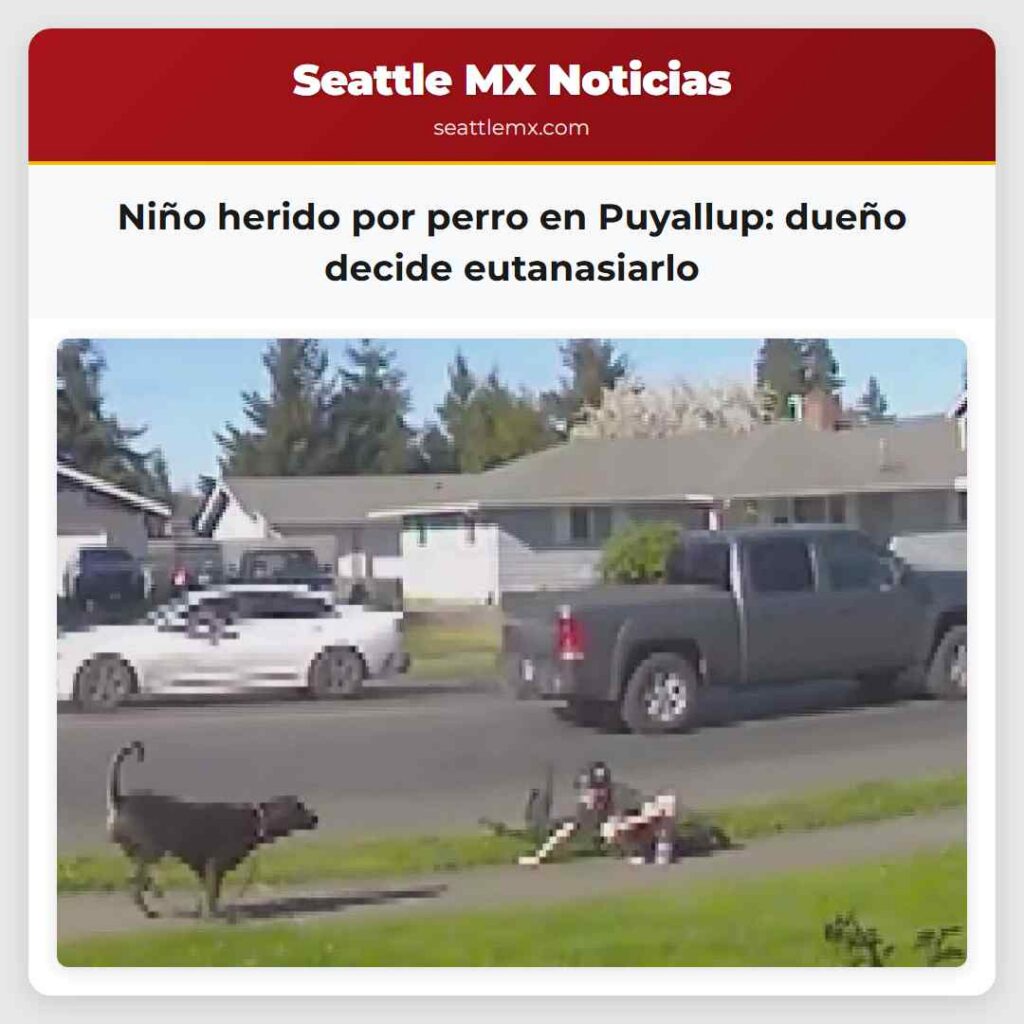 Niño herido por perro en Puyallup: dueño decide