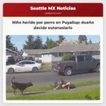 Niño herido por perro en Puyallup dueño decide eutanasiarlo