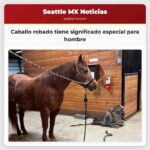 Un caballo robado en la noche tiene un significado especial para un hombre