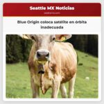 Blue Origin coloca satélite en órbita inadecuada