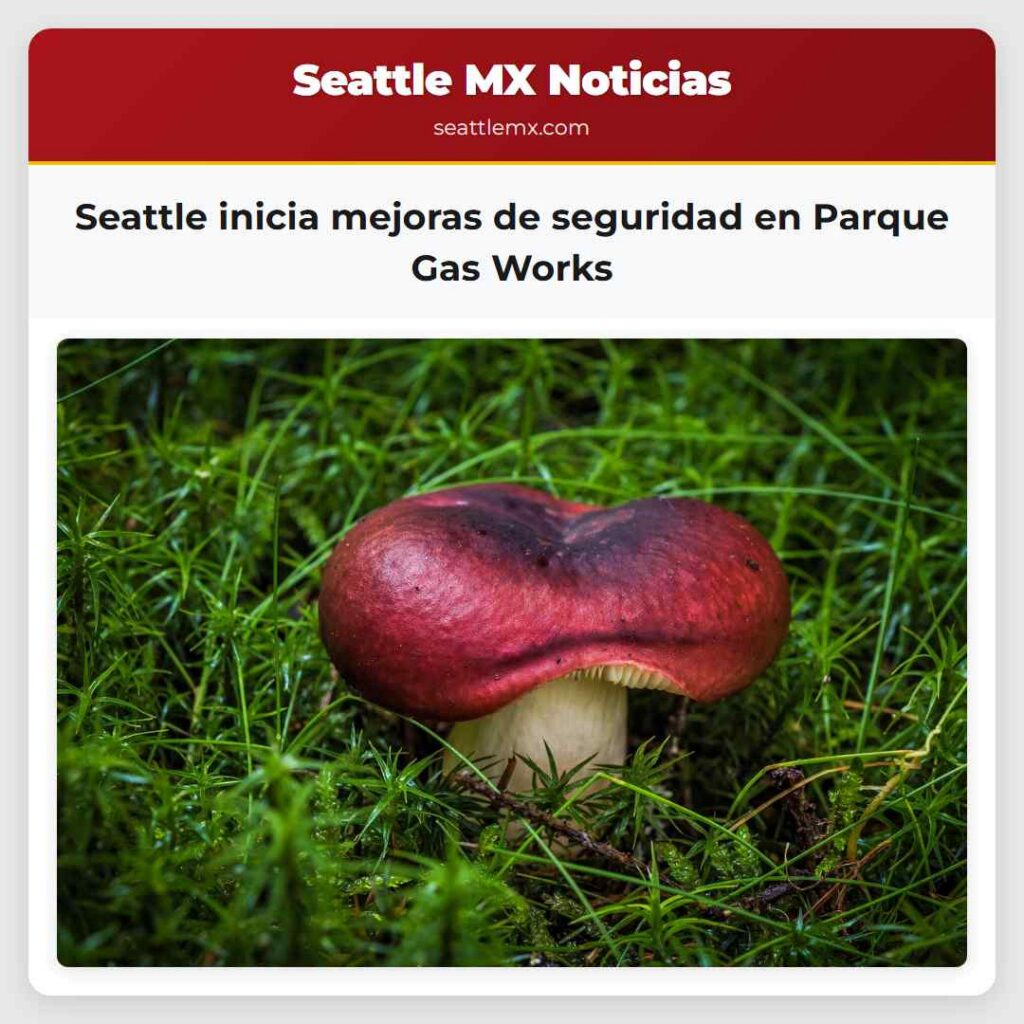 Seattle inicia mejoras de seguridad en Parque Gas