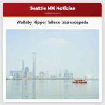 Wallaby Kipper fallece tras escapada