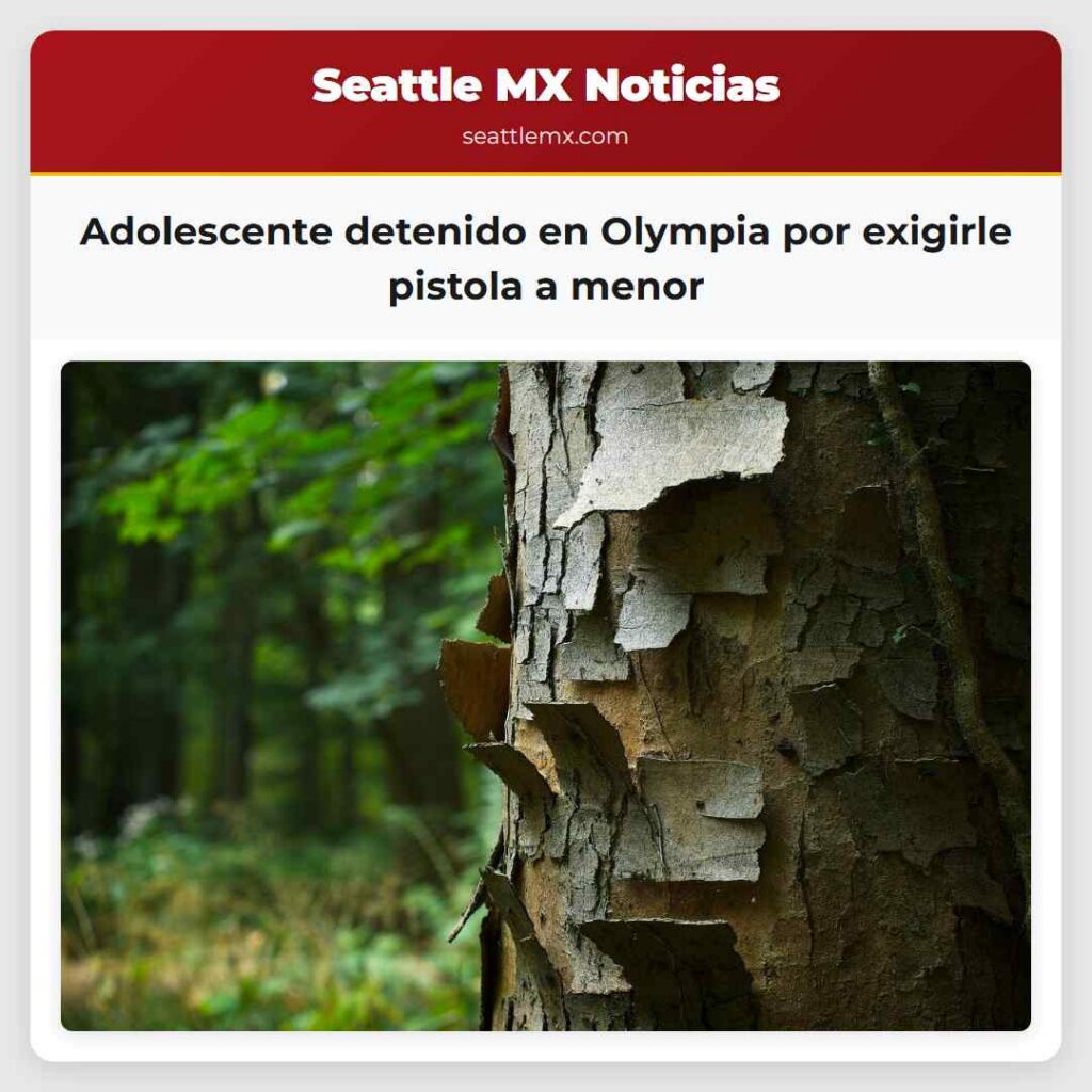 Adolescente detenido en Olympia por exigirle