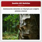 Adolescente detenido en Olympia por exigirle pistola a menor