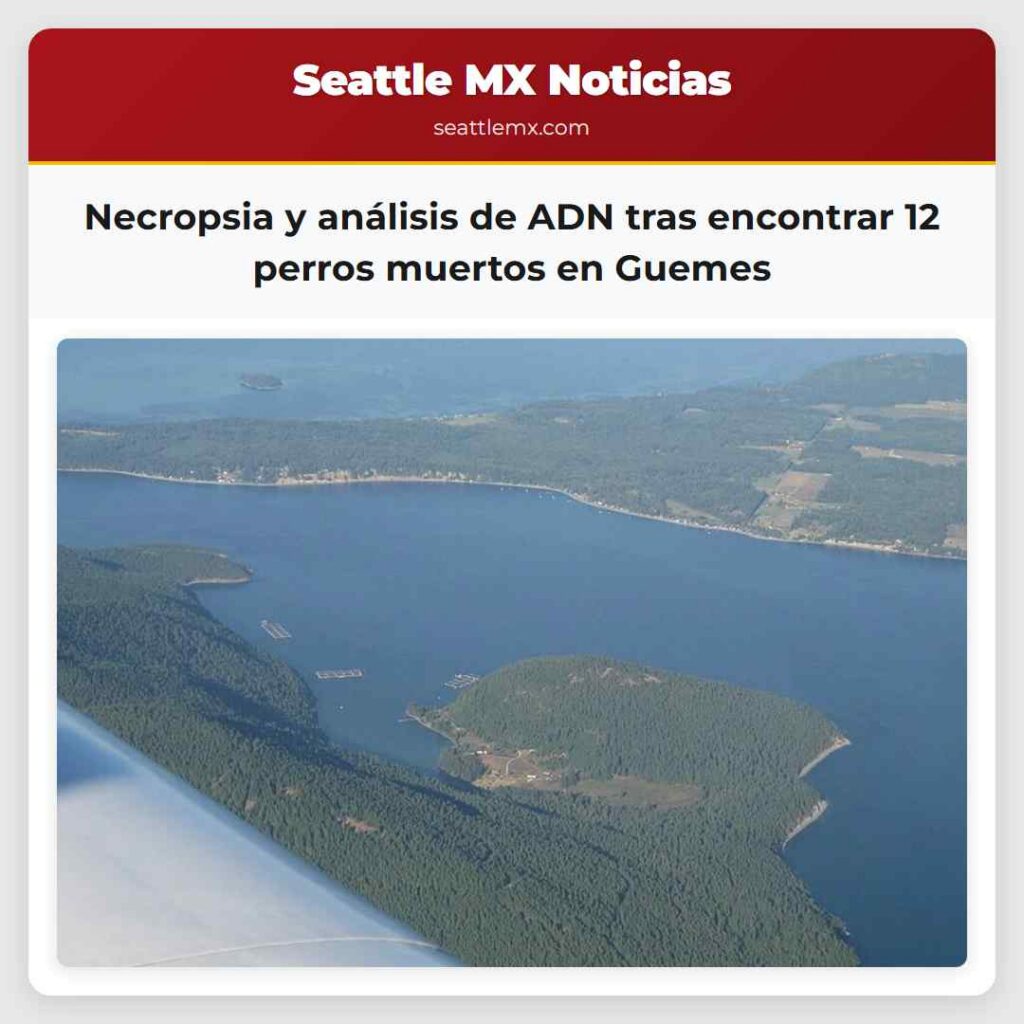 Necropsia y análisis de ADN tras encontrar 12