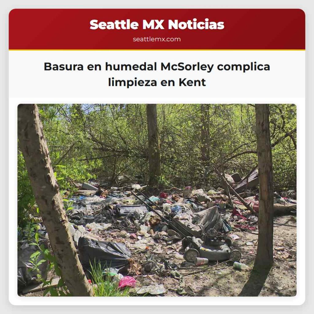 Basura en humedal McSorley complica limpieza en