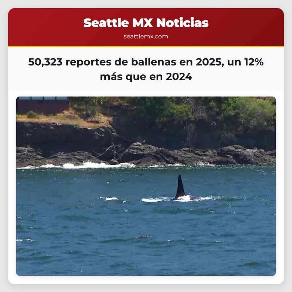 50,323 reportes de ballenas en 2025, un 12% más