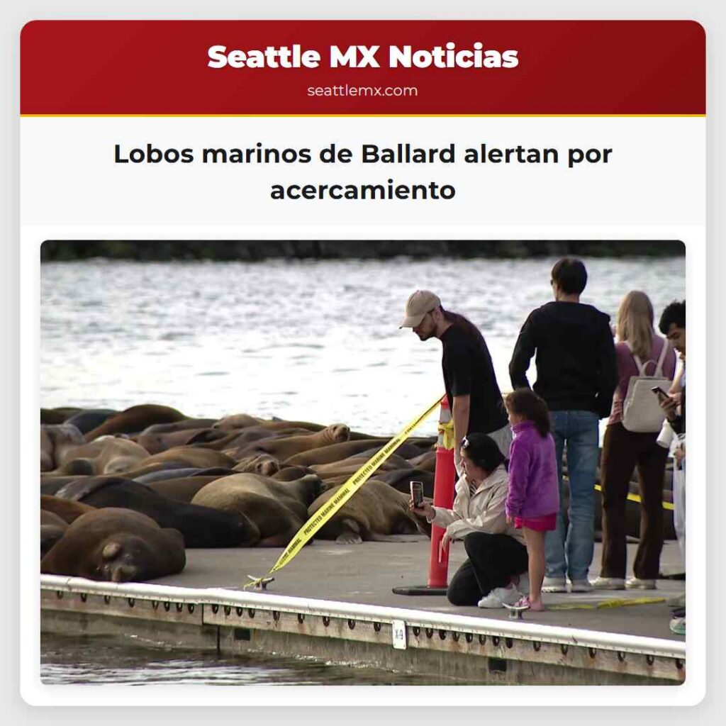 Lobos marinos de Ballard alertan por acercamiento