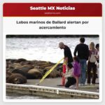 Lobos marinos de Ballard alertan por acercamiento