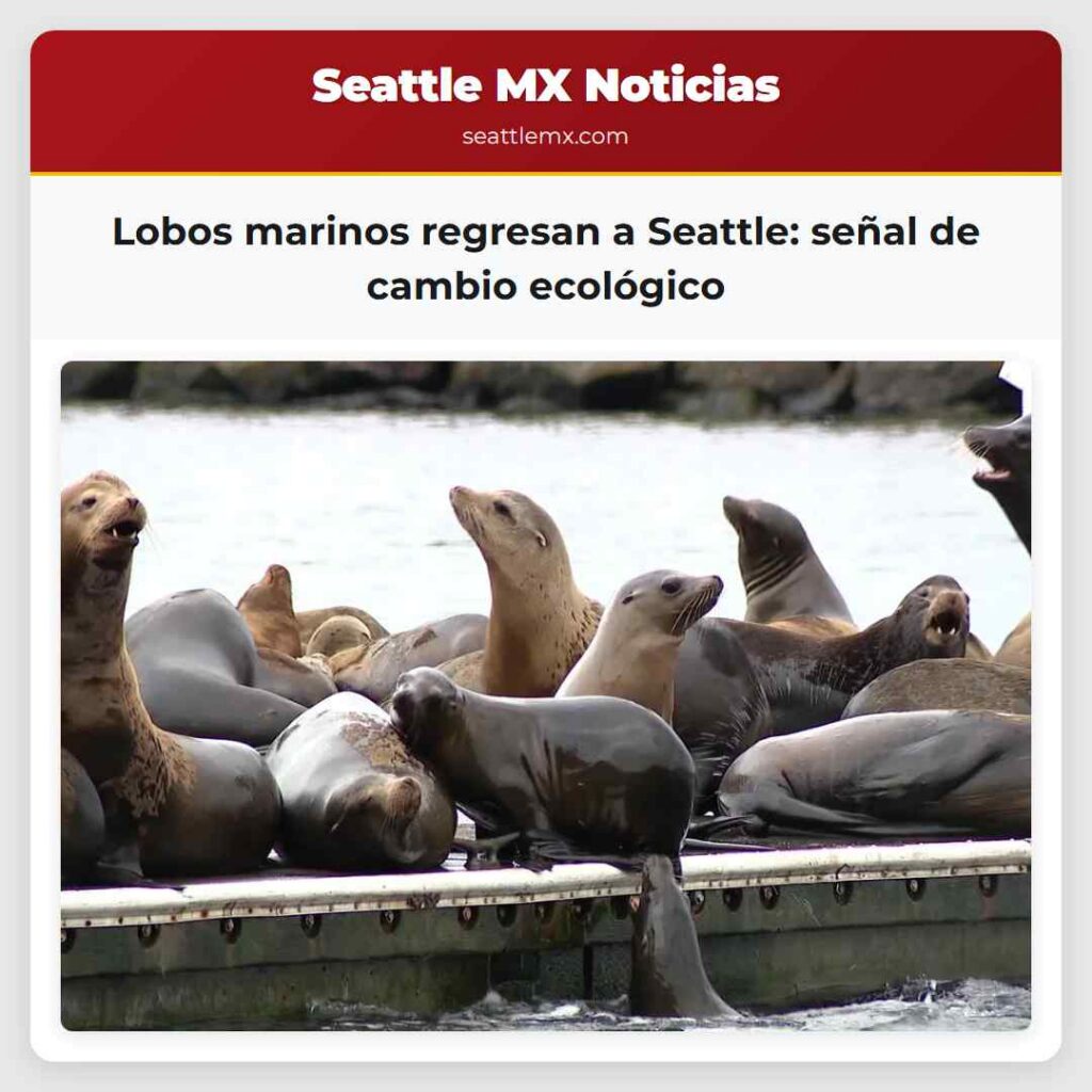 Lobos marinos regresan a Seattle: señal de cambio