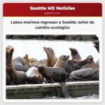 Lobos marinos regresan a Seattle señal de cambio ecológico