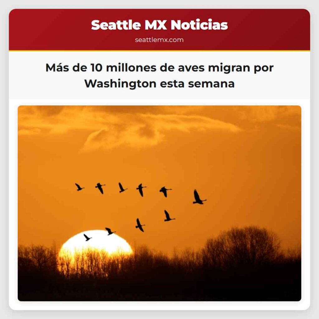 Más de 10 millones de aves migran por Washington
