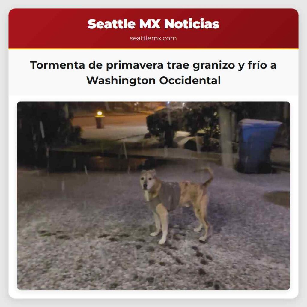 Tormenta de primavera trae granizo y frío a