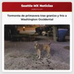 Tormenta de primavera trae granizo y frío a Washington Occidental