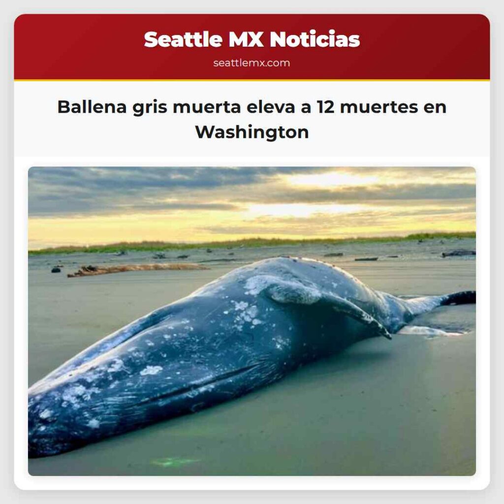 Ballena gris muerta eleva a 12 muertes en