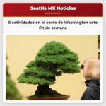5 actividades en el oeste de Washington este fin de semana