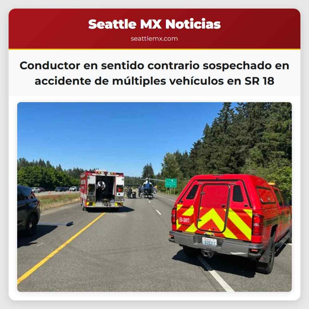 Conductor en sentido contrario sospechado en