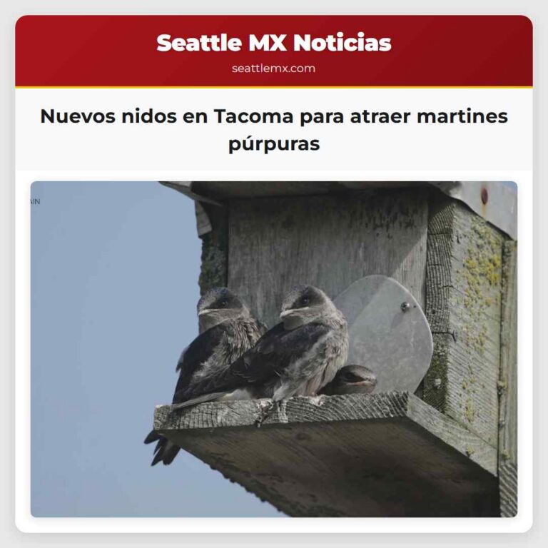Nuevos nidos en Tacoma para atraer martines púrpuras