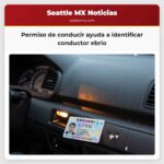 Permiso de conducir ayuda a identificar conductor ebrio