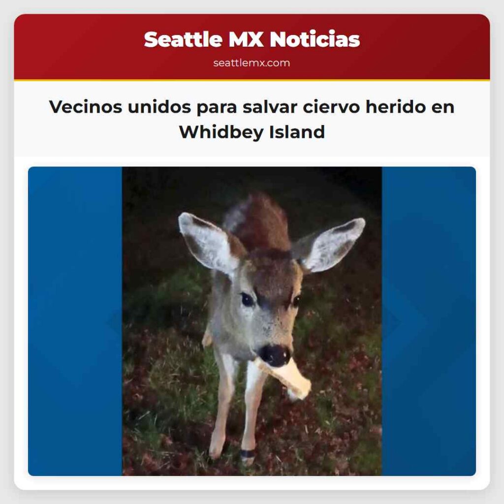 Vecinos unidos para salvar ciervo herido en
