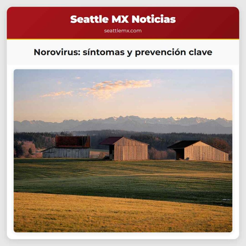 Norovirus: síntomas y prevención clave