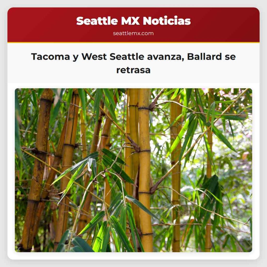 Tacoma y West Seattle avanza, Ballard se retrasa