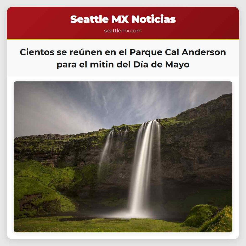 Cientos se reúnen en el Parque Cal Anderson para