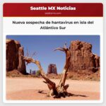 Nueva sospecha de hantavirus en isla del Atlántico Sur