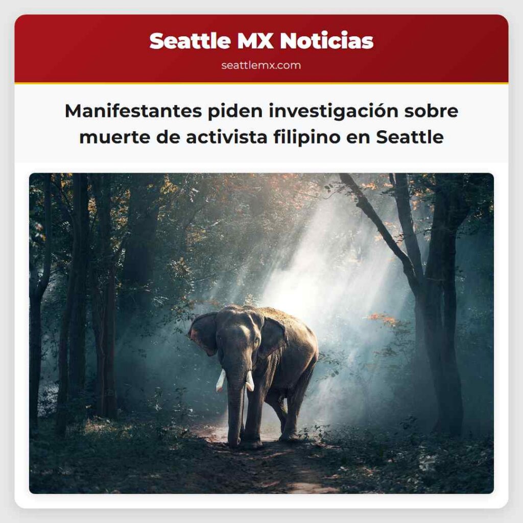 Manifestantes piden investigación sobre muerte de