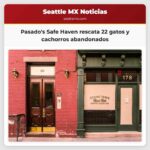 Pasados Safe Haven rescata 22 gatos y cachorros abandonados