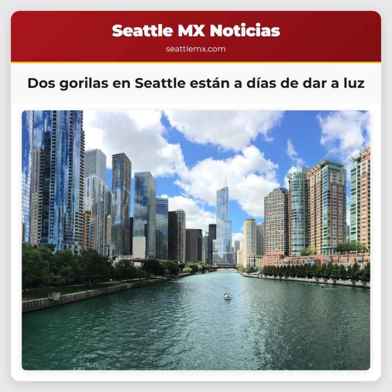 Dos gorilas en Seattle están a días de dar a luz