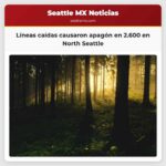 Líneas caídas causaron apagón en 2.600 en North Seattle