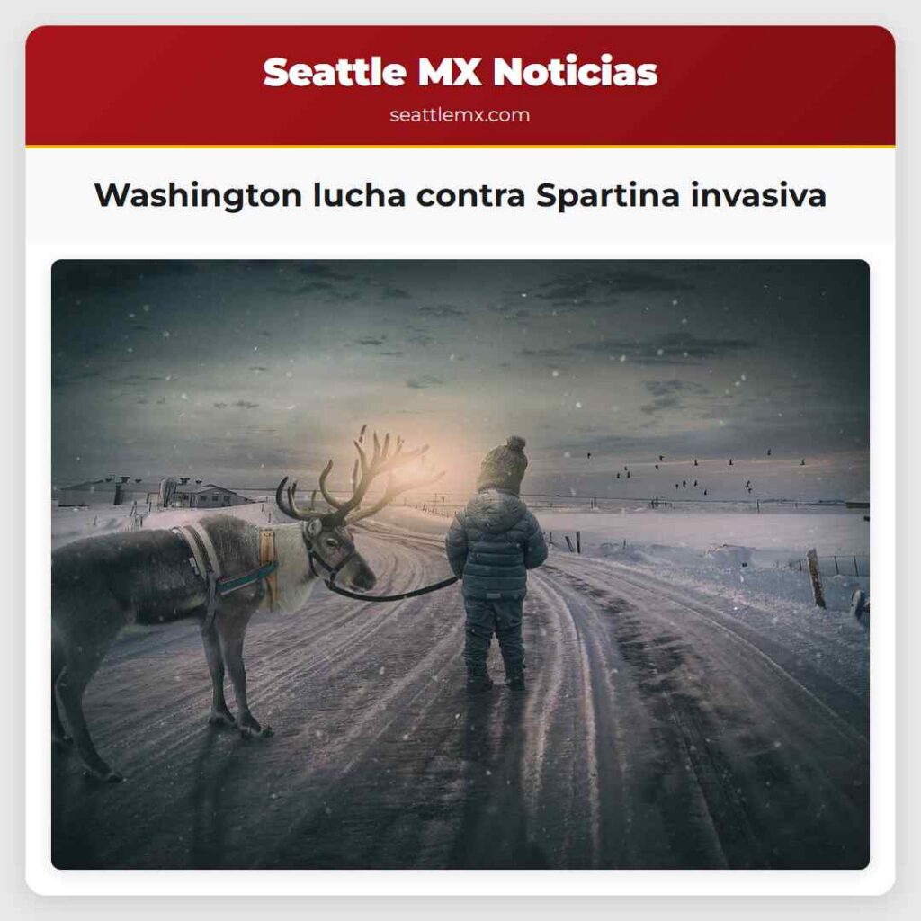 Washington lucha contra Spartina invasiva