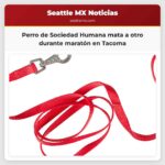 Perro de Sociedad Humana mata a otro durante maratón en Tacoma