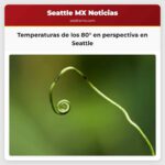 Temperaturas de los 80° en perspectiva en Seattle