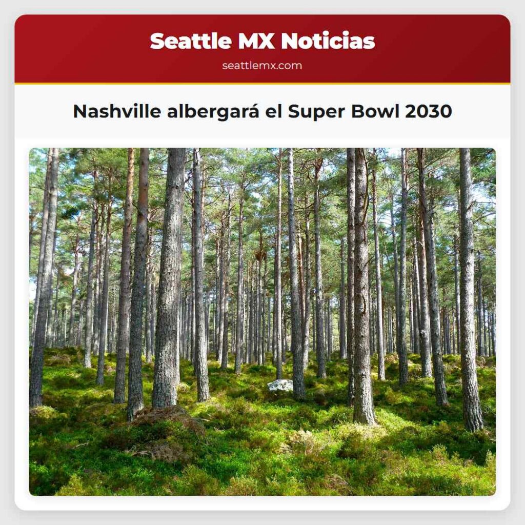 Nashville albergará el Super Bowl 2030
