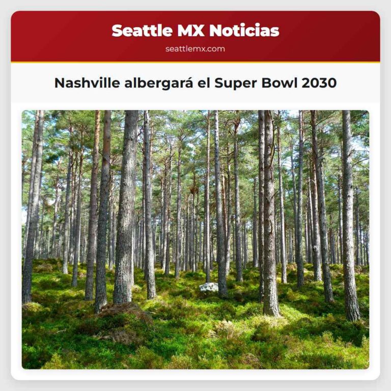 Nashville albergará el Super Bowl 2030