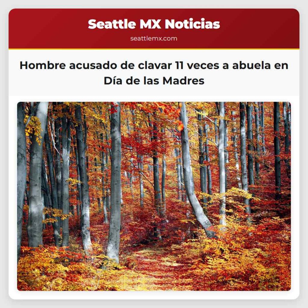 Hombre acusado de clavar 11 veces a abuela en Día
