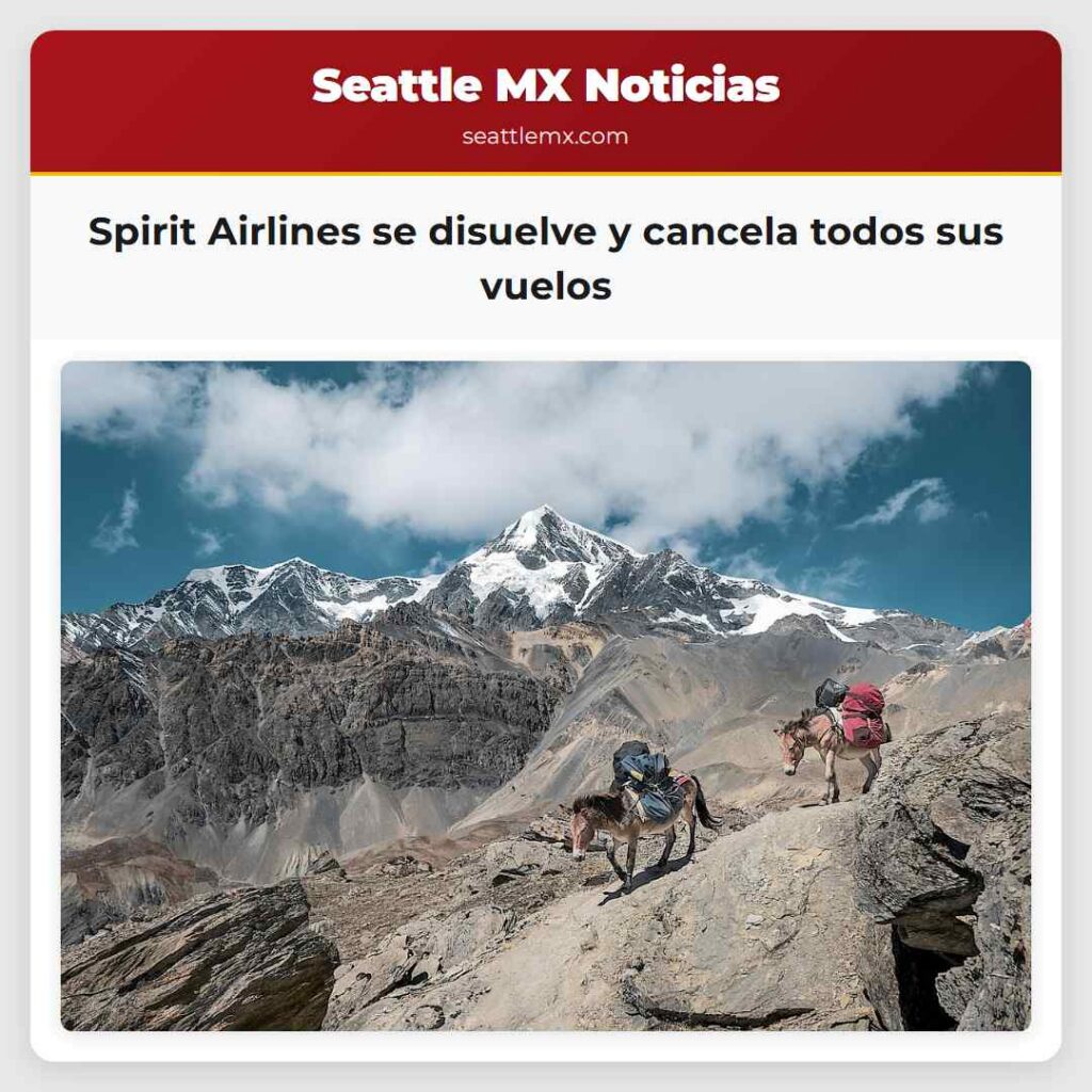Spirit Airlines se disuelve y cancela todos sus