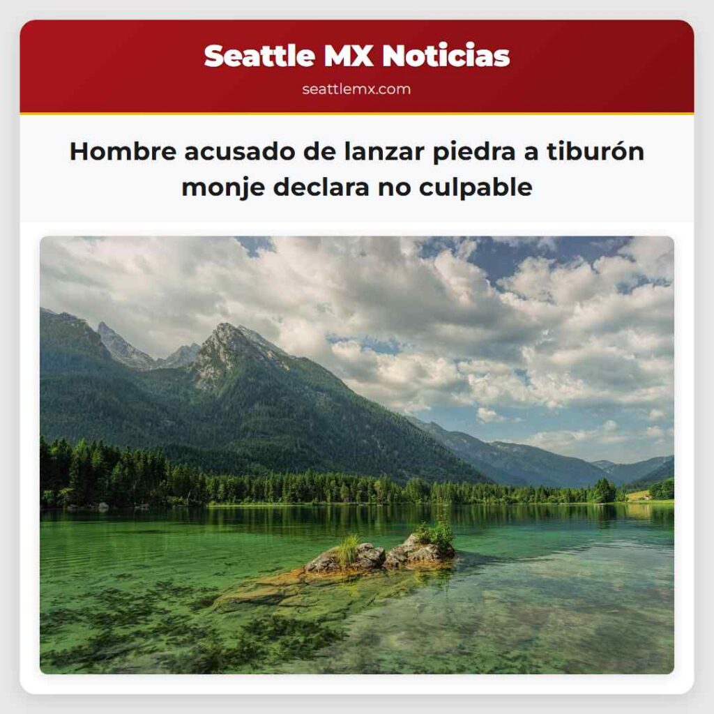 Hombre acusado de lanzar piedra a tiburón monje