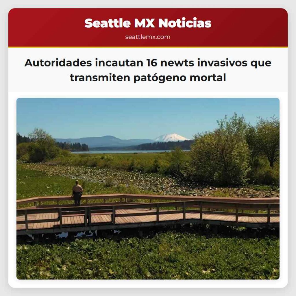 Autoridades incautan 16 newts invasivos que