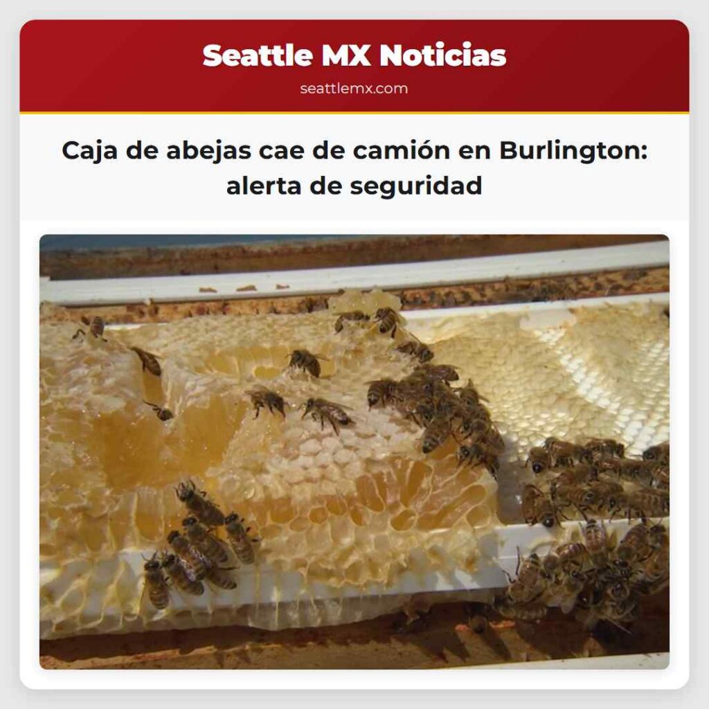 Caja de abejas cae de camión en Burlington: