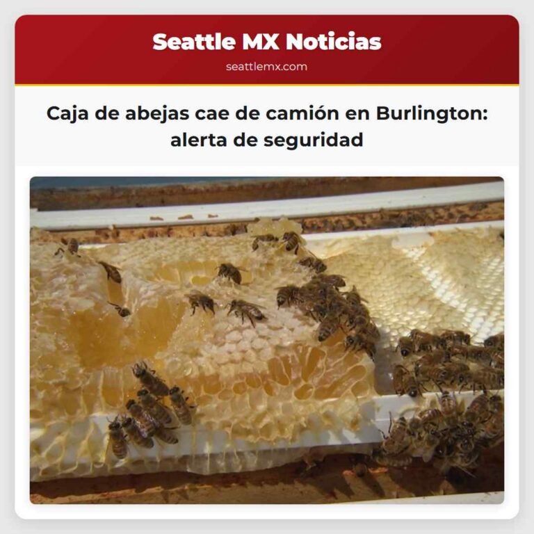 Caja de abejas cae de camión en Burlington alerta de seguridad
