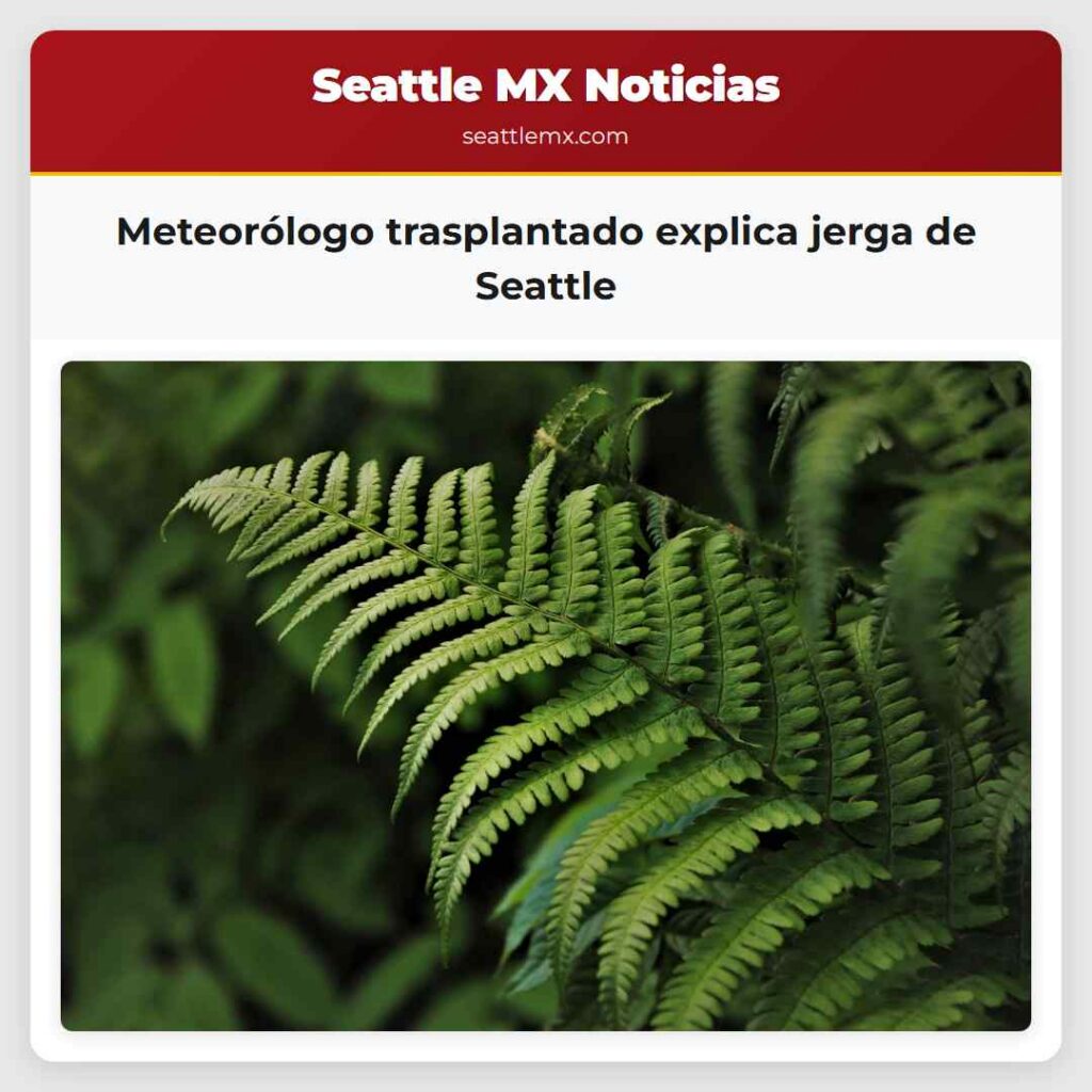 Meteorólogo trasplantado explica jerga de Seattle