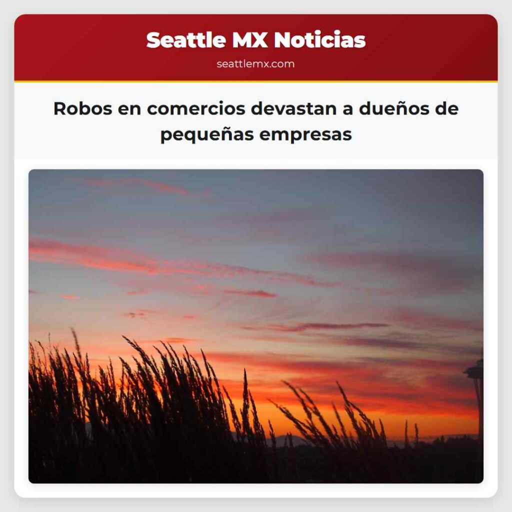 Robos en comercios devastan a dueños de pequeñas