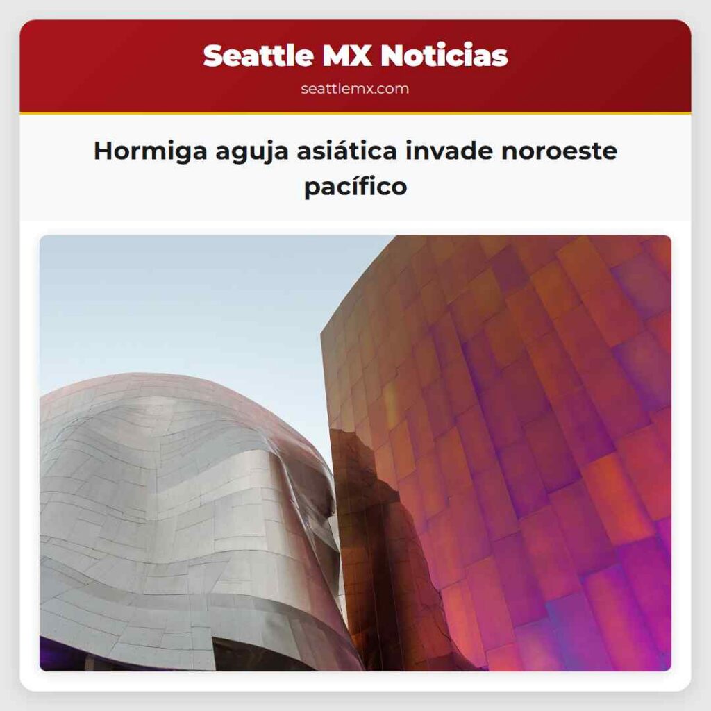 Hormiga aguja asiática invade noroeste pacífico