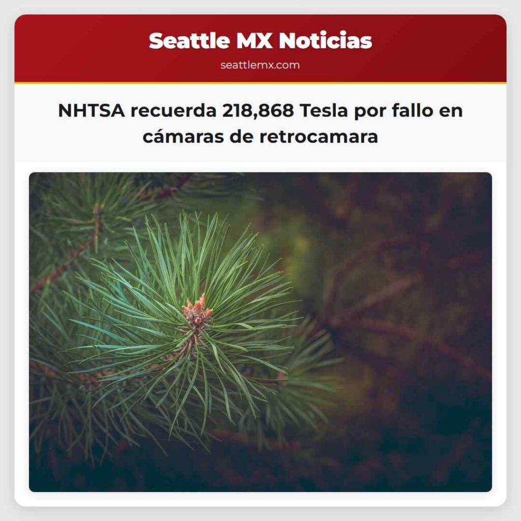 NHTSA recuerda 218,868 Tesla por fallo en cámaras