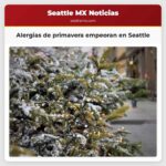 Alergias de primavera empeoran en Seattle