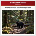 Hombre atacado por oso en Squamish